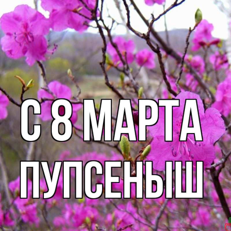 Картинка C 8 МАРТА, пупсеныш