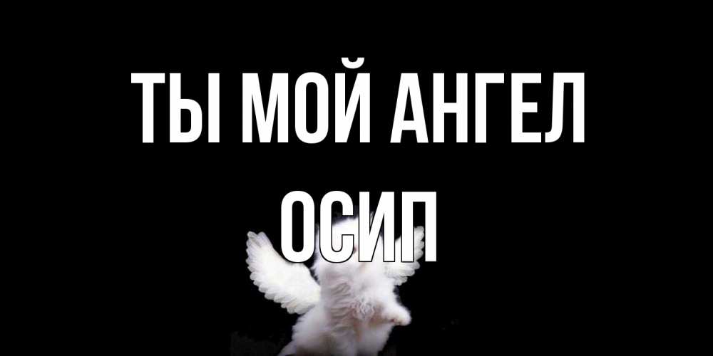 Открытка на каждый день с именем, Осип Ты мой ангел Кот ангел Прикольная открытка с пожеланием онлайн скачать бесплатно 