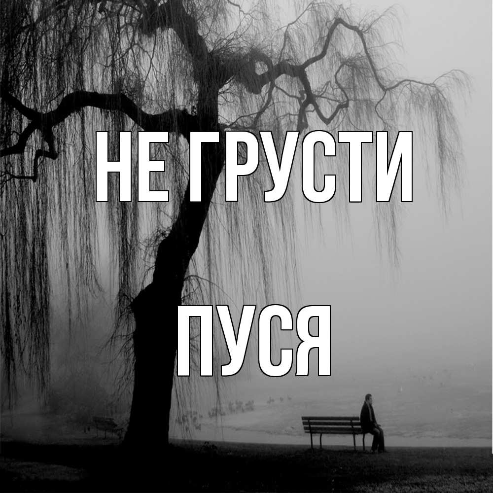 Открытка на каждый день с именем, Пуся Не грусти висящие ветки дерева и лавочка под деревом Прикольная открытка с пожеланием онлайн скачать бесплатно 