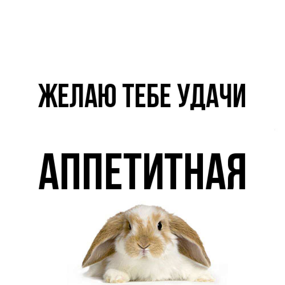 Открытка на каждый день с именем, аппетитная Желаю тебе удачи открытки с произвольным текстом который можно вставить в открытку и создать ее самостоятельно бесплатно онлайн Прикольная открытка с пожеланием онлайн скачать бесплатно 