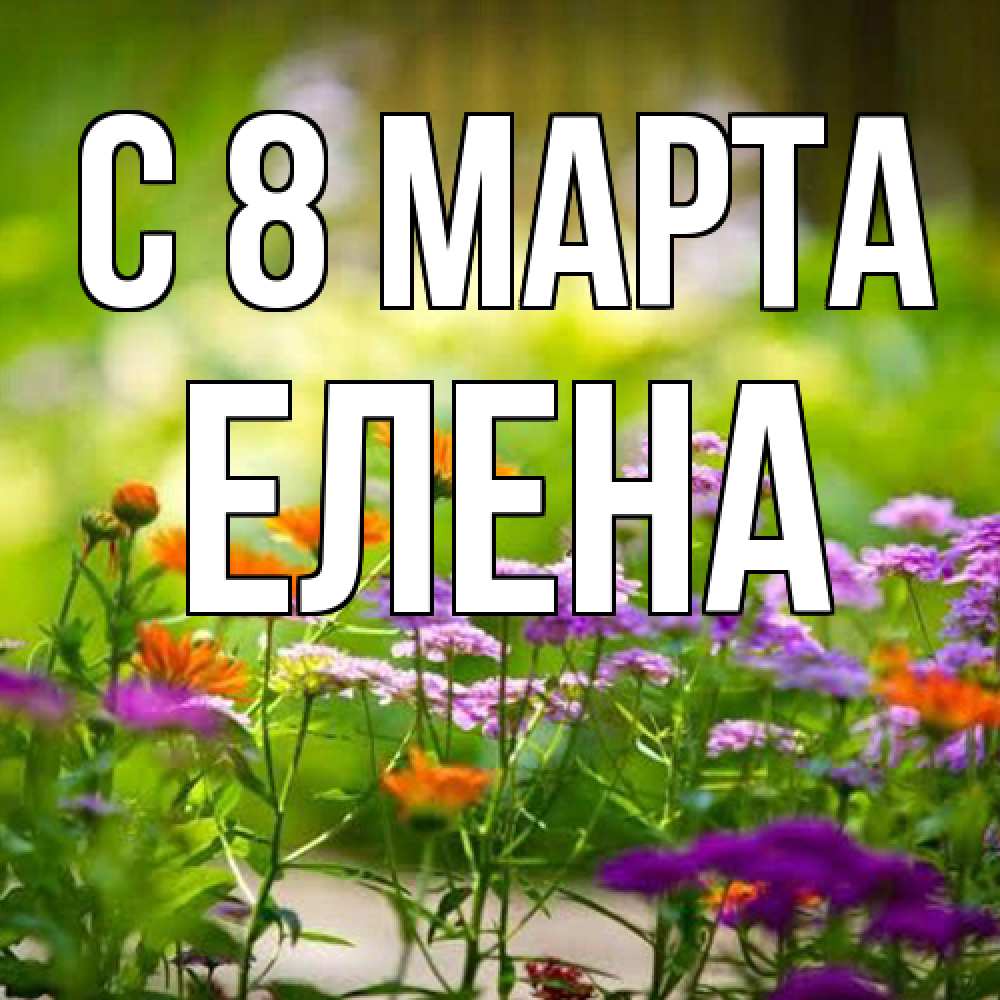 Открытка на каждый день с именем, Елена C 8 МАРТА цветы Прикольная открытка с пожеланием онлайн скачать бесплатно 