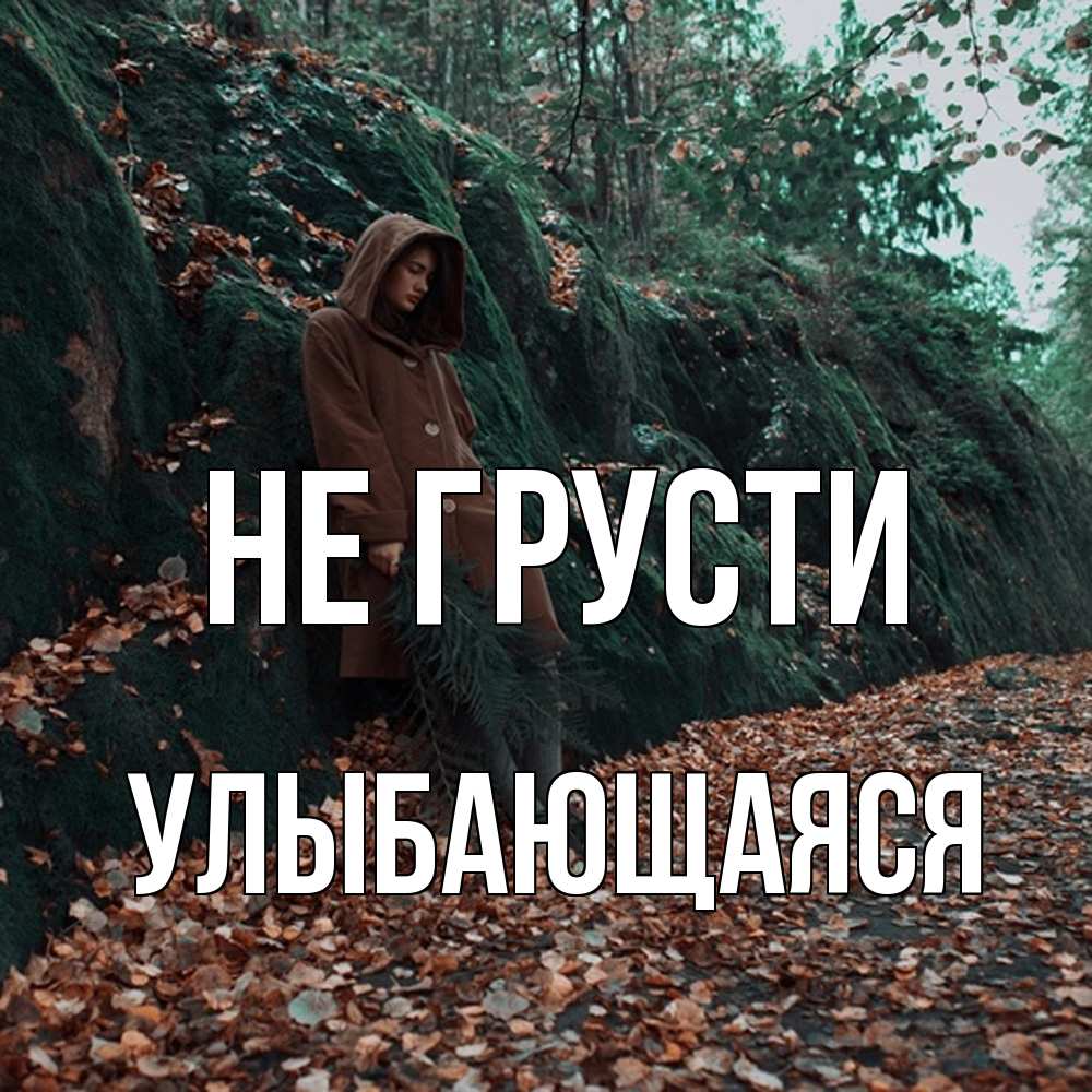 Открытка на каждый день с именем, Улыбающаяся Не грусти осенний лес Прикольная открытка с пожеланием онлайн скачать бесплатно 
