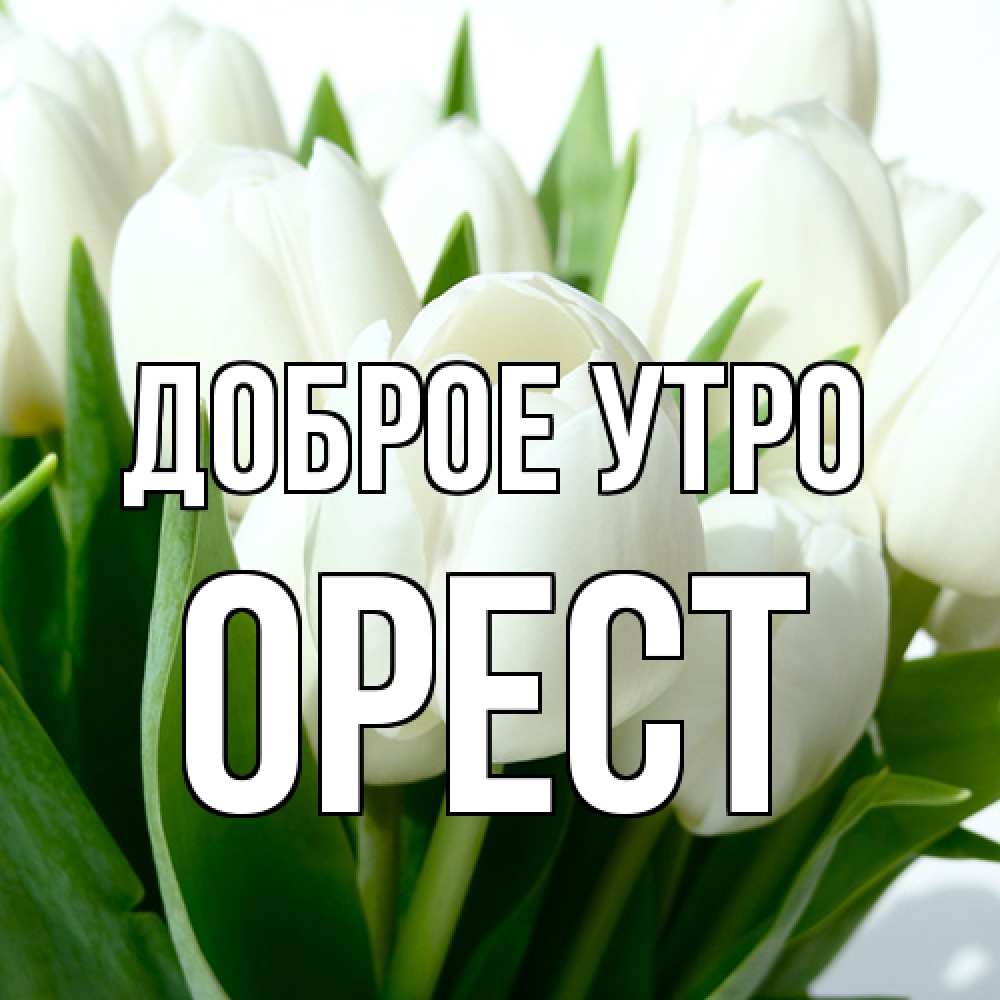Открытка на каждый день с именем, Орест Доброе утро открытки на каждый день по именам Прикольная открытка с пожеланием онлайн скачать бесплатно 