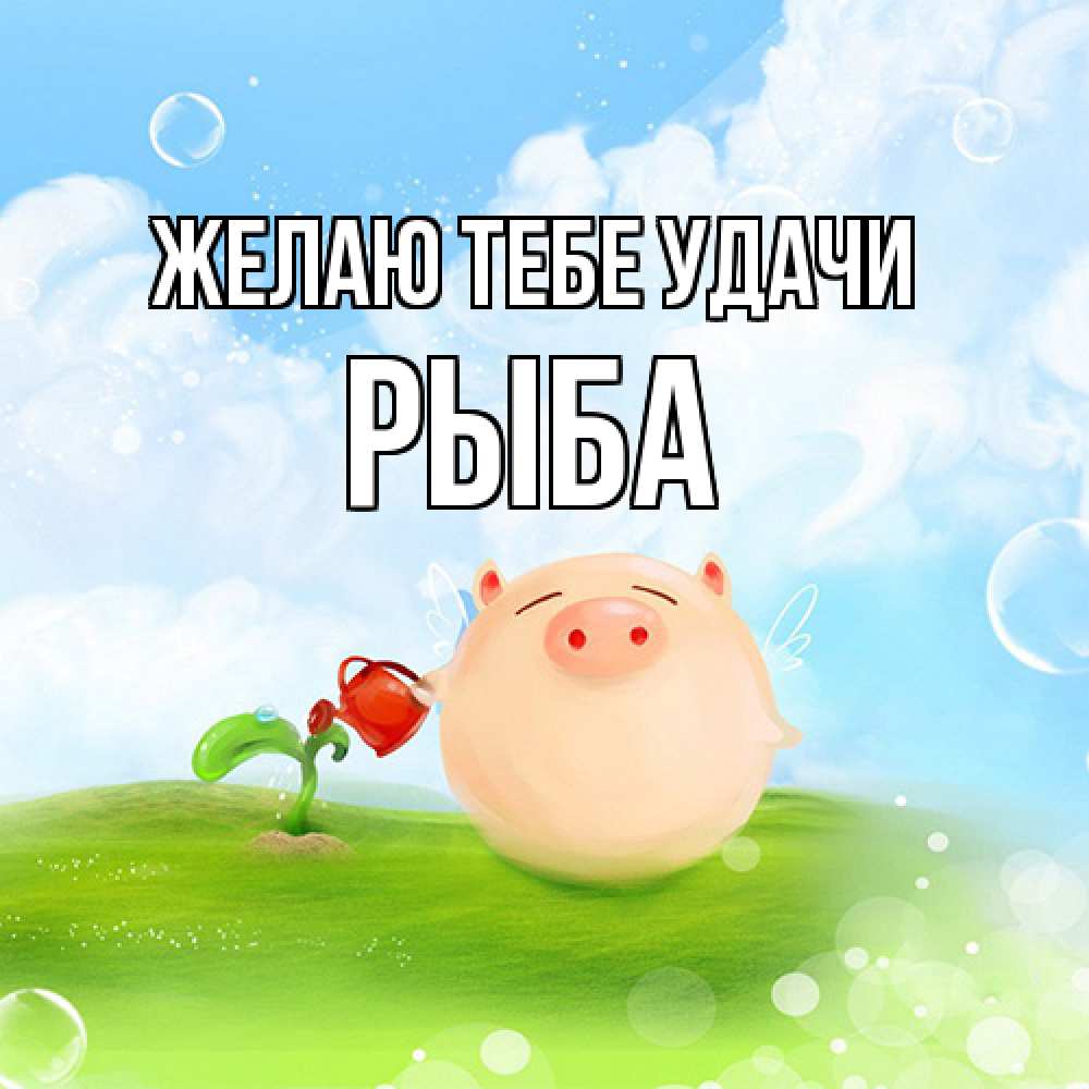 Открытка на каждый день с именем, Рыба Желаю тебе удачи поросенок поливает цветок. летнее настроение Прикольная открытка с пожеланием онлайн скачать бесплатно 