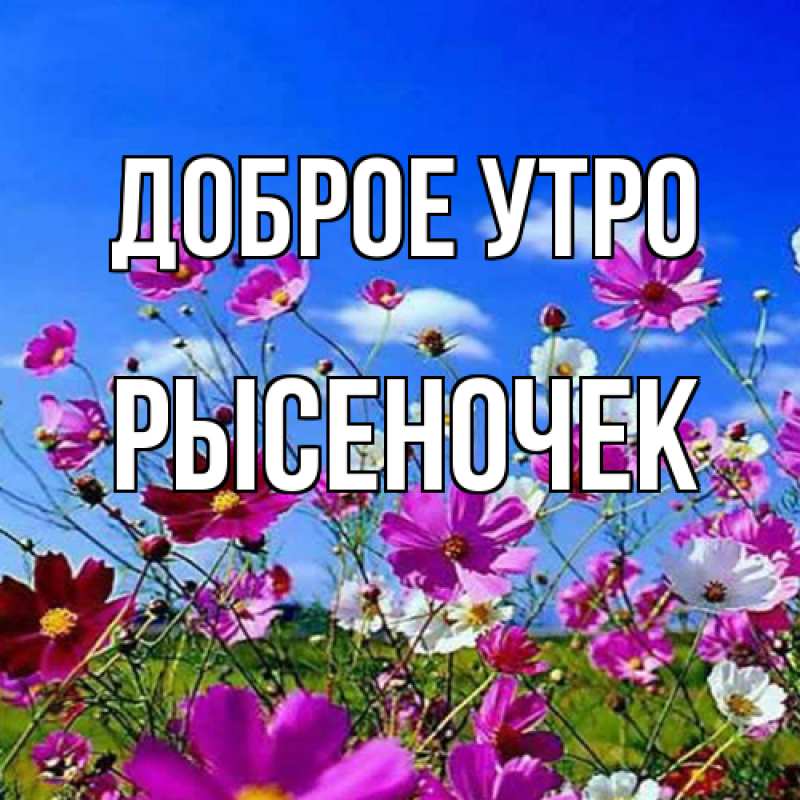 Картинка Доброе утро, Рысеночек