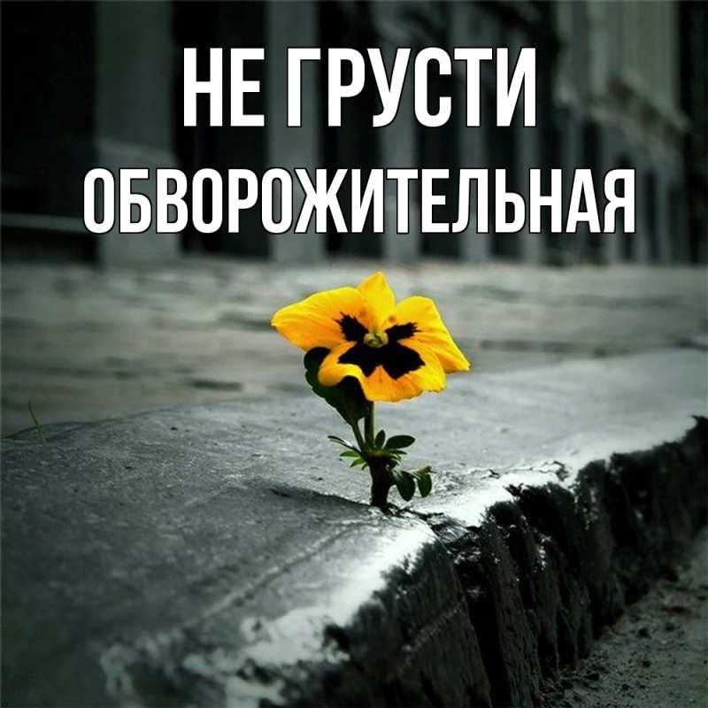 Картинка Не грусти, Обвоpожительная