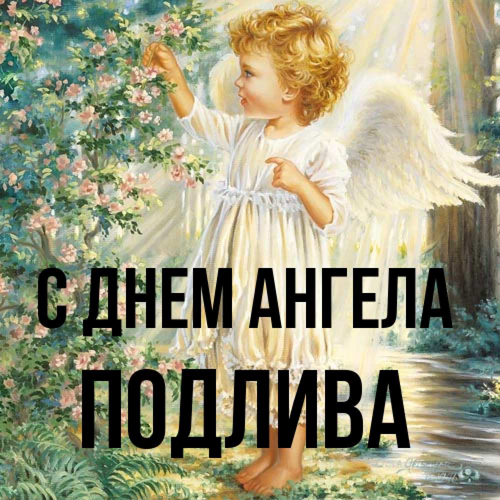 Открытка на каждый день с именем, Подлива С днем ангела собирает цветы Прикольная открытка с пожеланием онлайн скачать бесплатно 