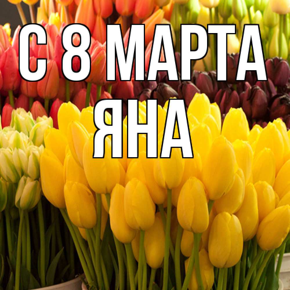 Открытка на каждый день с именем, Яна C 8 МАРТА цветы Прикольная открытка с пожеланием онлайн скачать бесплатно 
