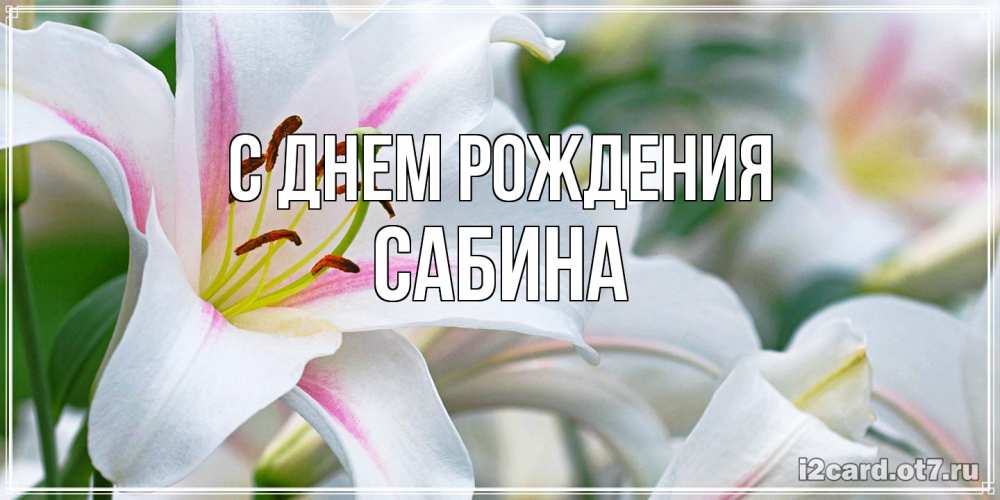 Открытка на каждый день с именем, Сабина С днем рождения открытка с белой лилией Прикольная открытка с пожеланием онлайн скачать бесплатно 