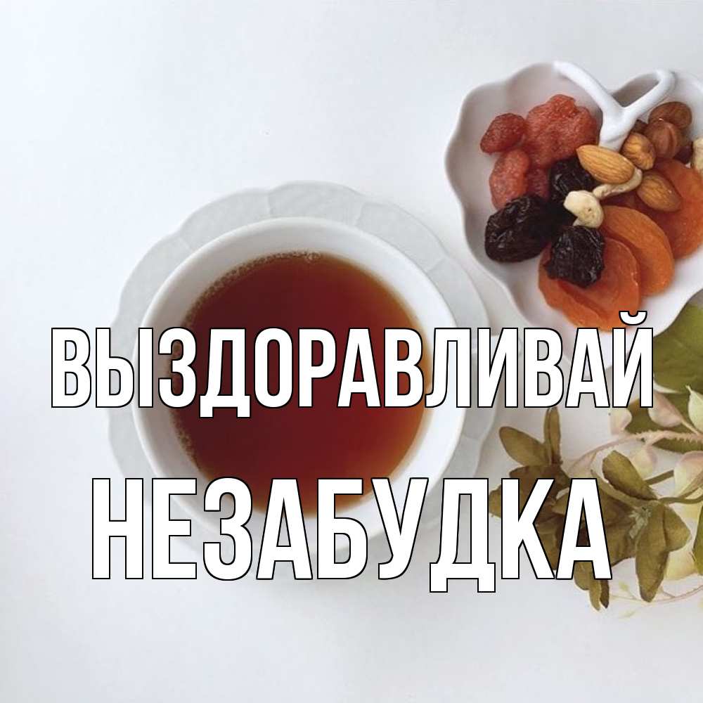 Открытка на каждый день с именем, Незабудка Выздоравливай неизвестные растения Прикольная открытка с пожеланием онлайн скачать бесплатно 