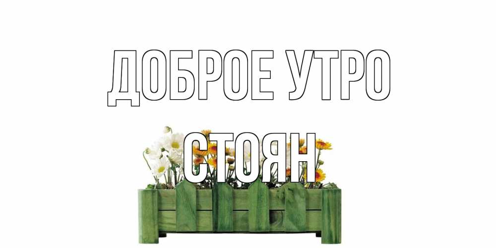 Открытка на каждый день с именем, Стоян Доброе утро цветы Прикольная открытка с пожеланием онлайн скачать бесплатно 