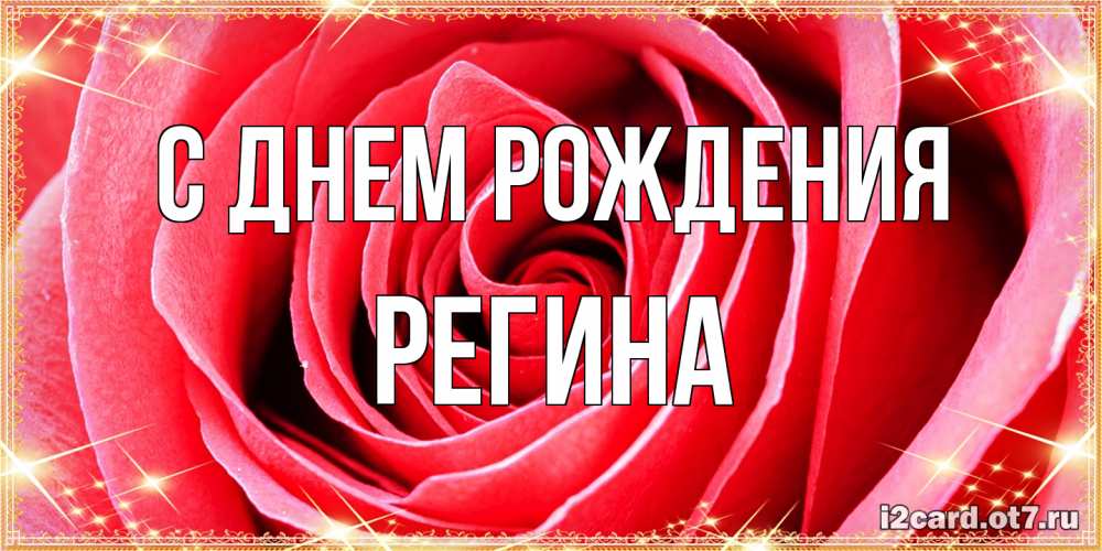 Открытка на каждый день с именем, Регина С днем рождения розовая роза очень крупный бутон Прикольная открытка с пожеланием онлайн скачать бесплатно 