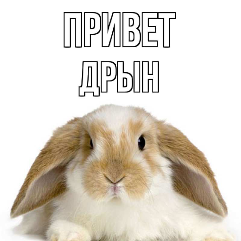 Открытка с именем, Дрын, Привет