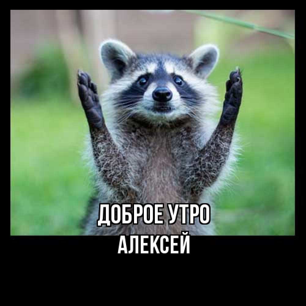 Открытка на каждый день с именем, Алексей Доброе утро хорошее настроение утречком Прикольная открытка с пожеланием онлайн скачать бесплатно 