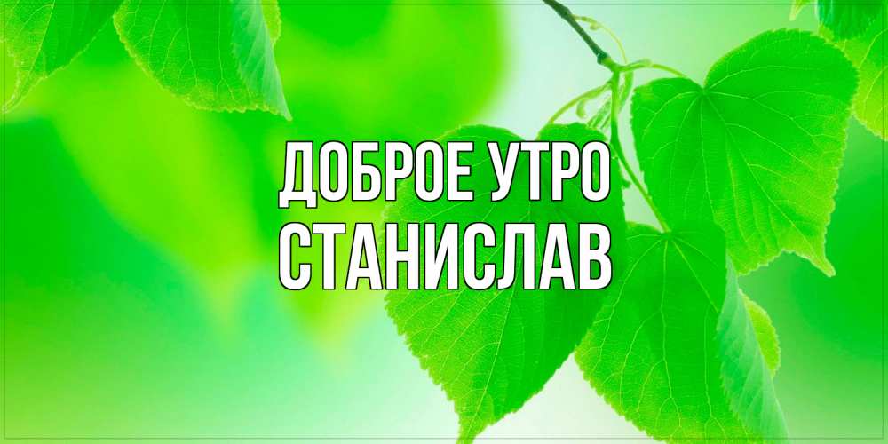 Открытка на каждый день с именем, Станислав Доброе утро доброе утро с березовыми листьями Прикольная открытка с пожеланием онлайн скачать бесплатно 