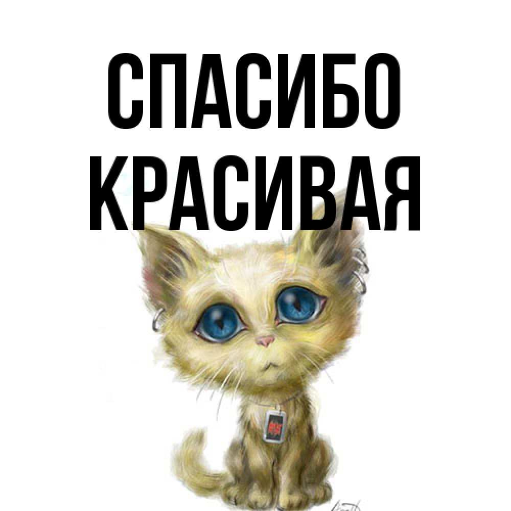 Открытка на каждый день с именем, Красивая Спасибо рисованный кот благодарит вас Прикольная открытка с пожеланием онлайн скачать бесплатно 