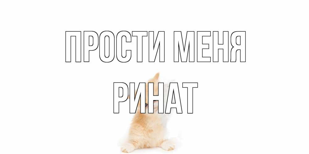 Открытка на каждый день с именем, Ринат Прости меня кот Прикольная открытка с пожеланием онлайн скачать бесплатно 