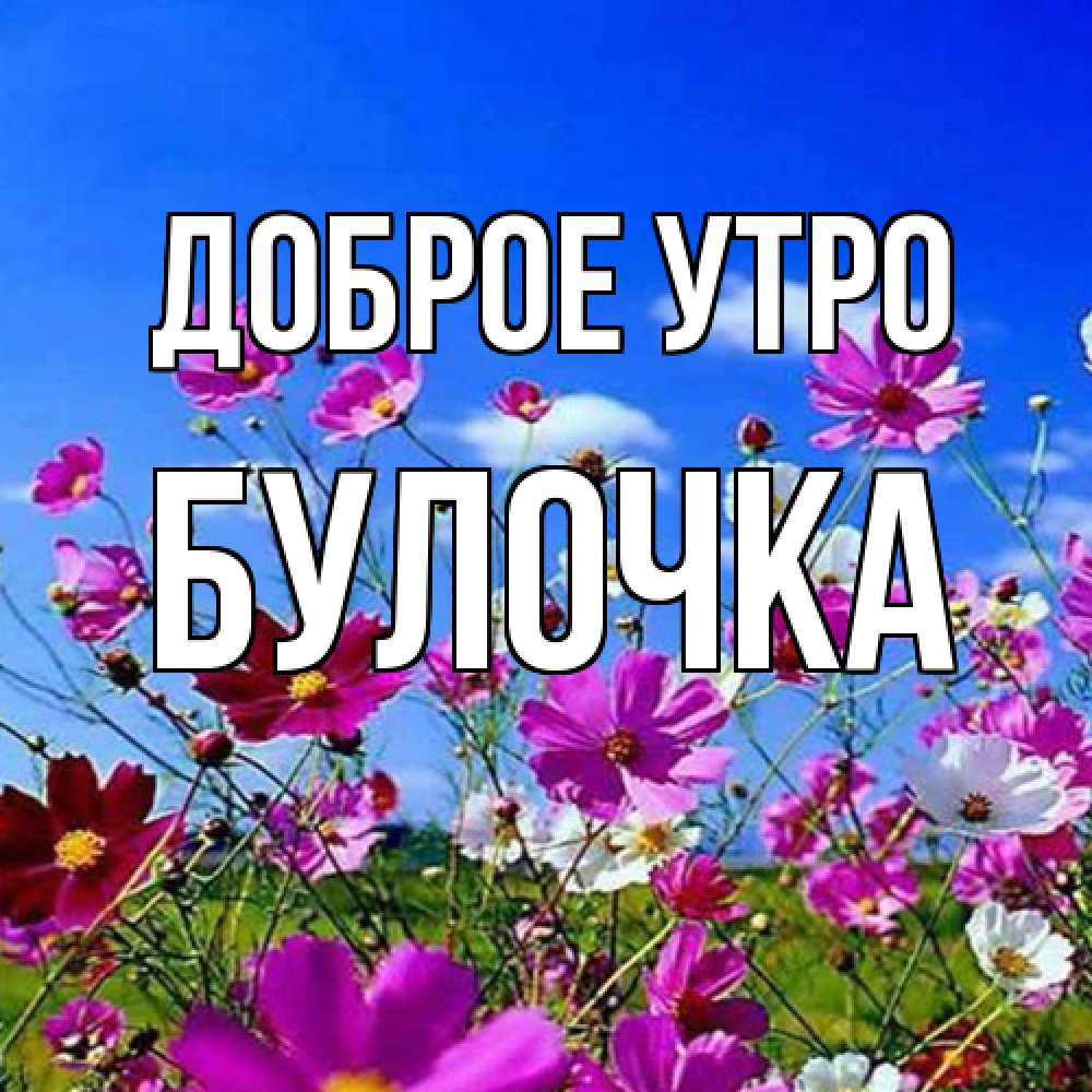 Открытка на каждый день с именем, булочка Доброе утро сиреневые цветы Прикольная открытка с пожеланием онлайн скачать бесплатно 