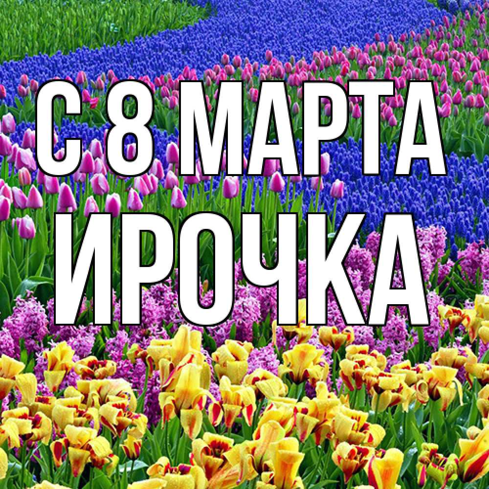 Открытка на каждый день с именем, Ирочка C 8 МАРТА цветы Прикольная открытка с пожеланием онлайн скачать бесплатно 