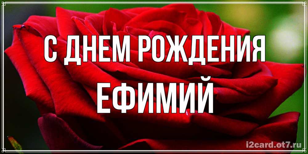 Открытка на каждый день с именем, Ефимий С днем рождения розочка очень красивая Прикольная открытка с пожеланием онлайн скачать бесплатно 