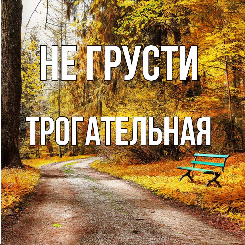 Открытка на каждый день с именем, Трогательная Не грусти зеленая лавочка Прикольная открытка с пожеланием онлайн скачать бесплатно 
