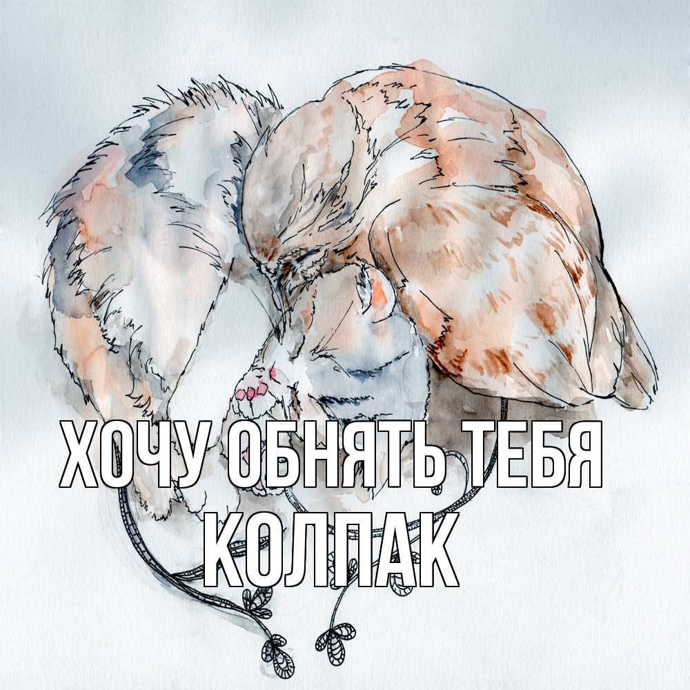 Открытка на каждый день с именем, Колпак Хочу обнять тебя можно быть вместе даже когда очень разные Прикольная открытка с пожеланием онлайн скачать бесплатно 