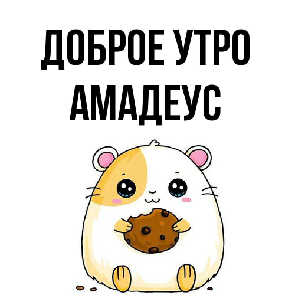 Открытка на каждый день с именем, Амадеус Доброе утро есть печеньку. Утречко Прикольная открытка с пожеланием онлайн скачать бесплатно 