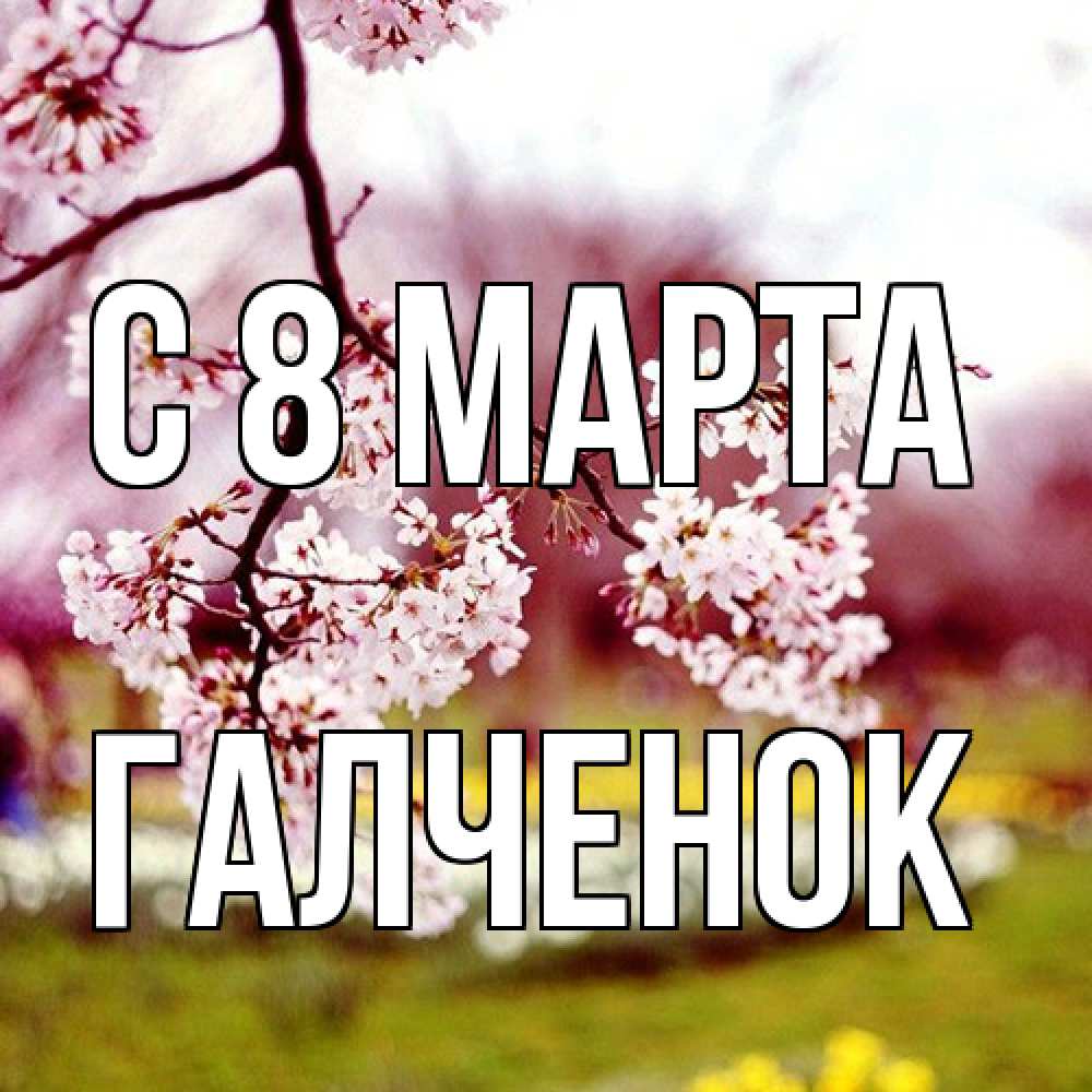 Открытка на каждый день с именем, Галченок C 8 МАРТА яблоня Прикольная открытка с пожеланием онлайн скачать бесплатно 