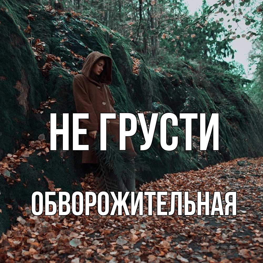 Открытка на каждый день с именем, Обвоpожительная Не грусти осенний лес Прикольная открытка с пожеланием онлайн скачать бесплатно 
