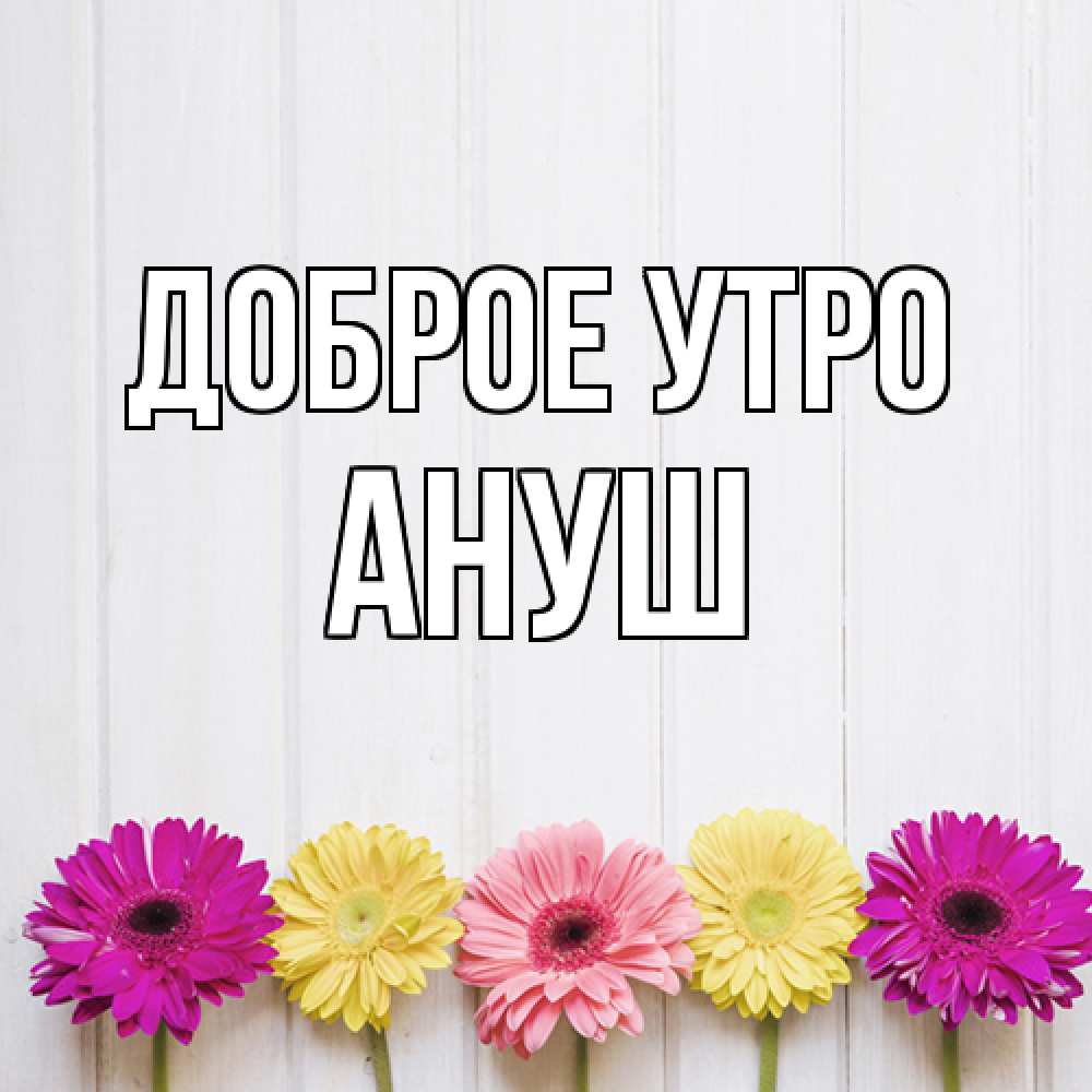 Открытка на каждый день с именем, Ануш Доброе утро красный желтый и розовый цветок Прикольная открытка с пожеланием онлайн скачать бесплатно 
