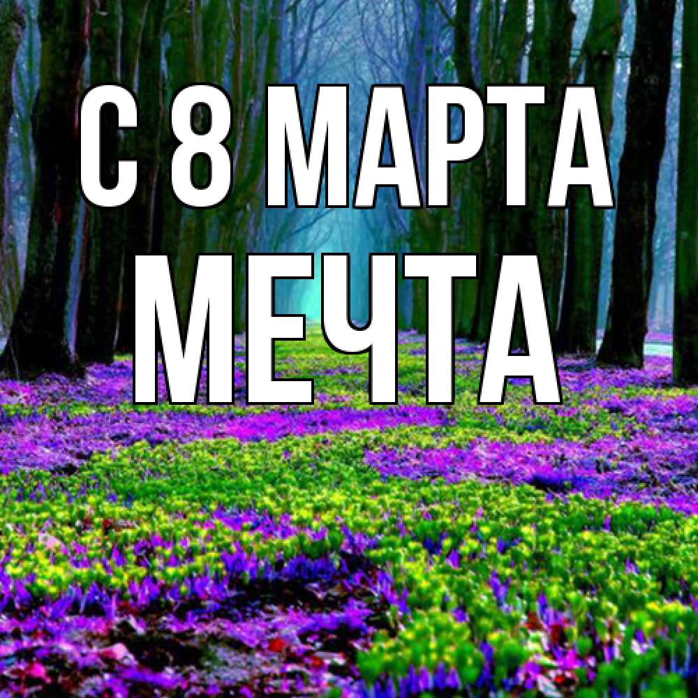 Открытка на каждый день с именем, мечта C 8 МАРТА фиолетовые цветы в лесу 1 Прикольная открытка с пожеланием онлайн скачать бесплатно 