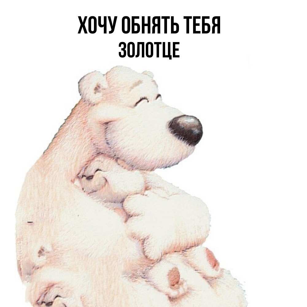 Открытка на каждый день с именем, Золотце Хочу обнять тебя мама белый медведь Прикольная открытка с пожеланием онлайн скачать бесплатно 