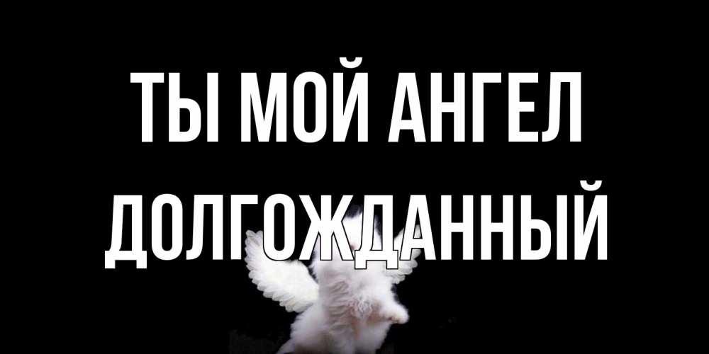 Открытка на каждый день с именем, Долгожданный Ты мой ангел Кот ангел Прикольная открытка с пожеланием онлайн скачать бесплатно 