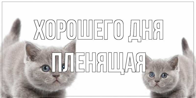 Картинка Хорошего дня, пленящая