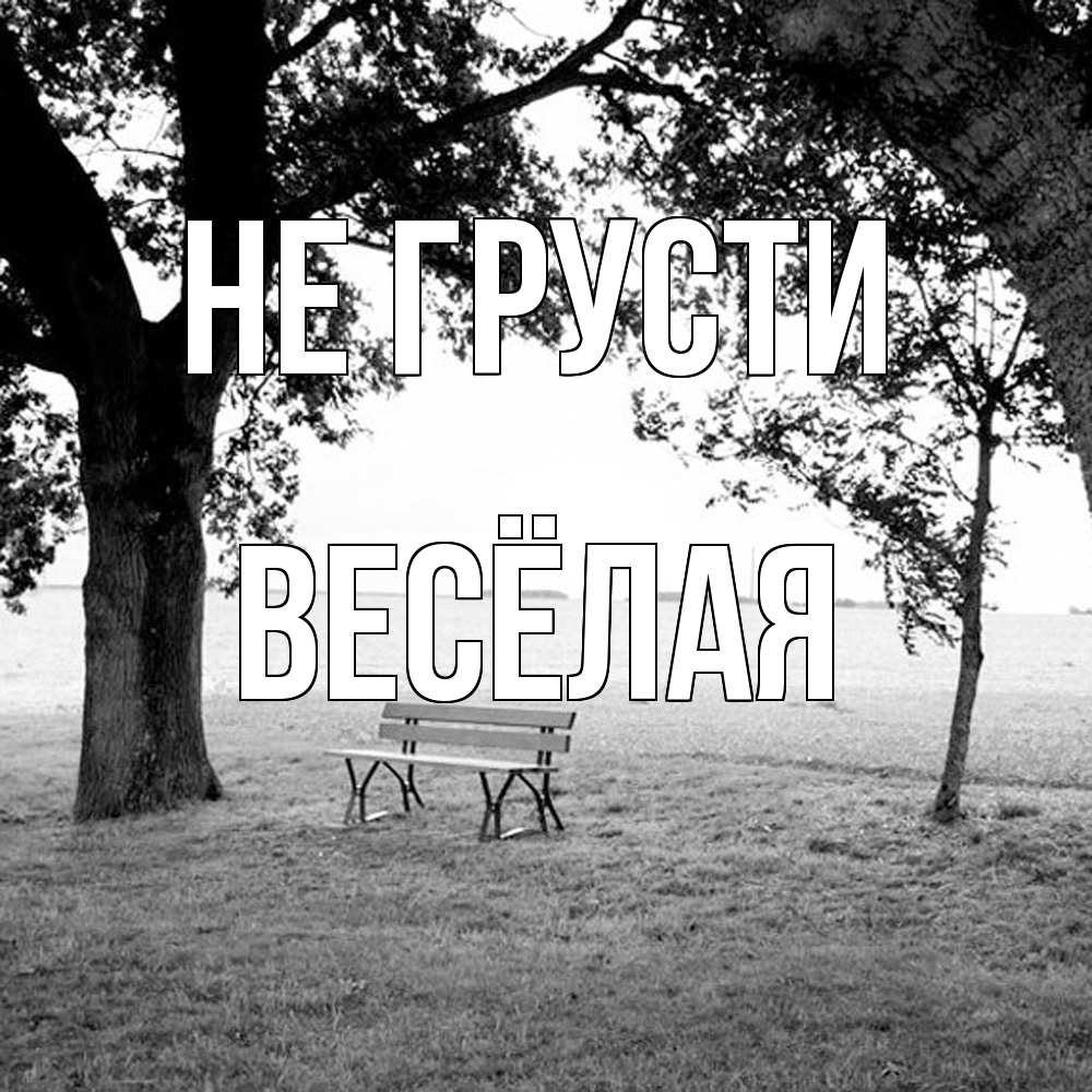 Открытка на каждый день с именем, Весёлая Не грусти мощное дерево Прикольная открытка с пожеланием онлайн скачать бесплатно 