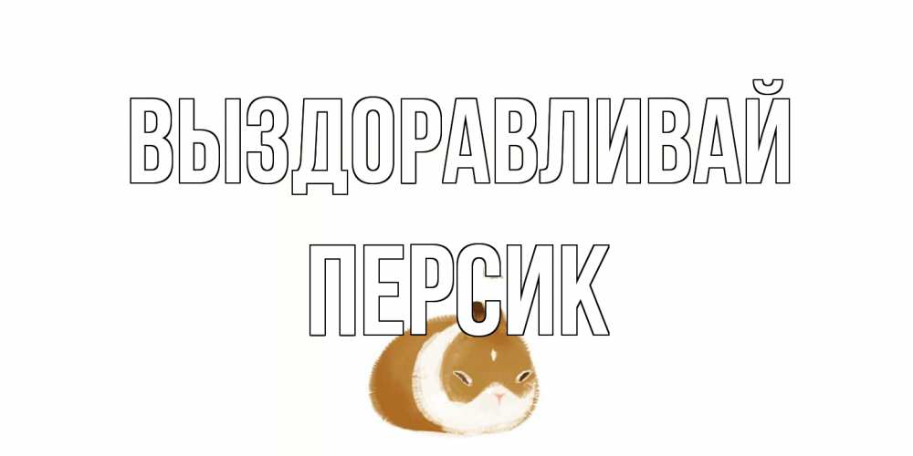 Открытка на каждый день с именем, Персик Выздоравливай морская свинка на открытке с пожеланиями не болеть Прикольная открытка с пожеланием онлайн скачать бесплатно 