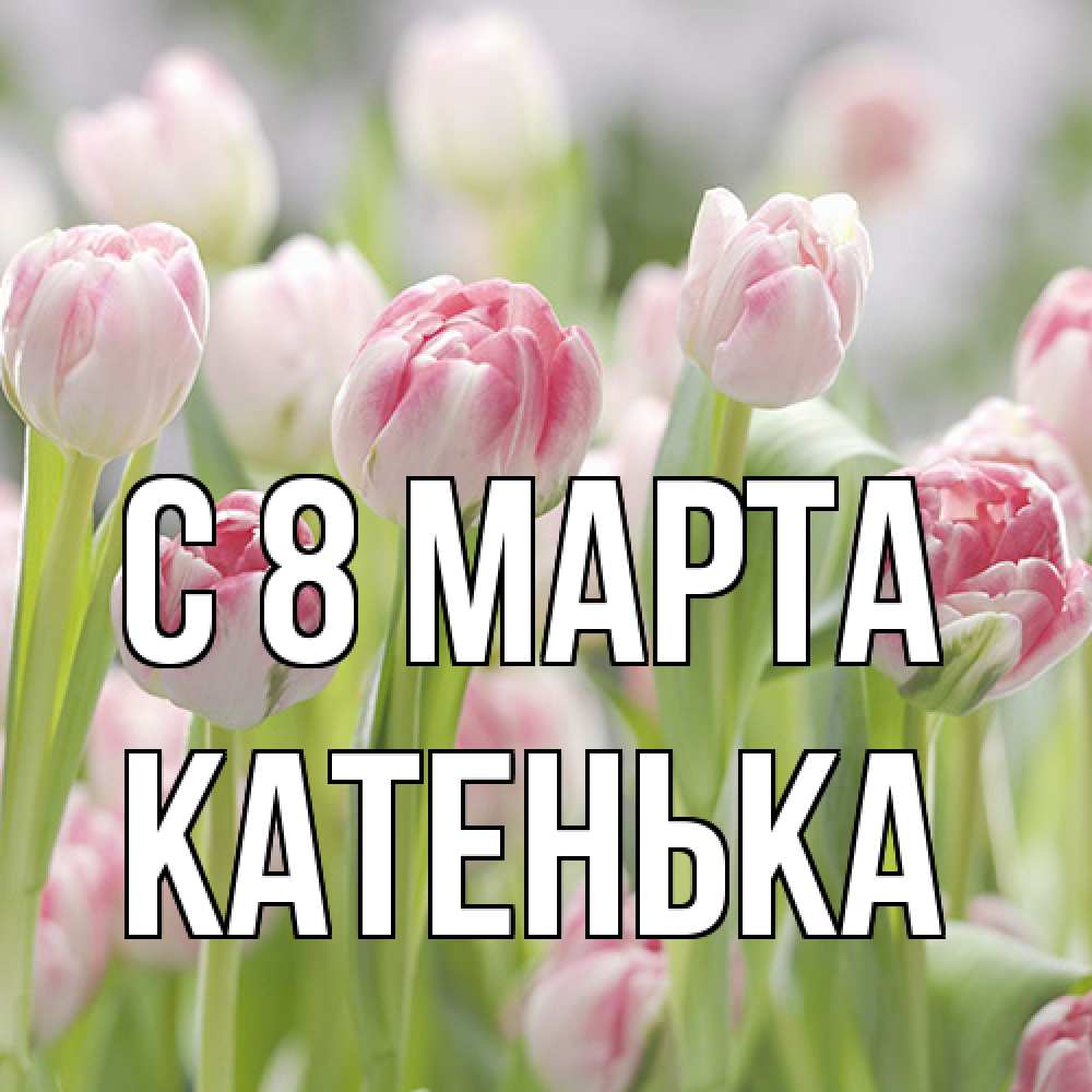 Открытка на каждый день с именем, Катенька C 8 МАРТА цветы Прикольная открытка с пожеланием онлайн скачать бесплатно 