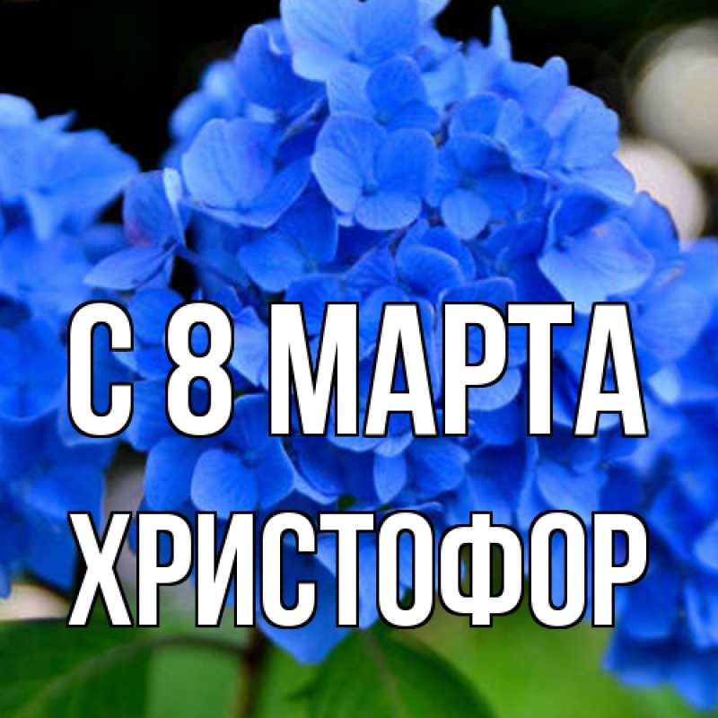 Картинка C 8 МАРТА, Христофор