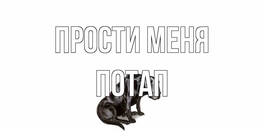 Открытка на каждый день с именем, Потап Прости меня грустная собака на открытке с подписью прости меня Прикольная открытка с пожеланием онлайн скачать бесплатно 