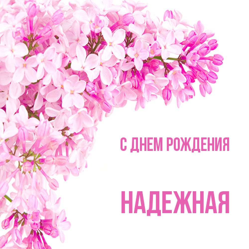Открытка на каждый день с именем, надежная С днем рождения Сирень на белом фоне Прикольная открытка с пожеланием онлайн скачать бесплатно 