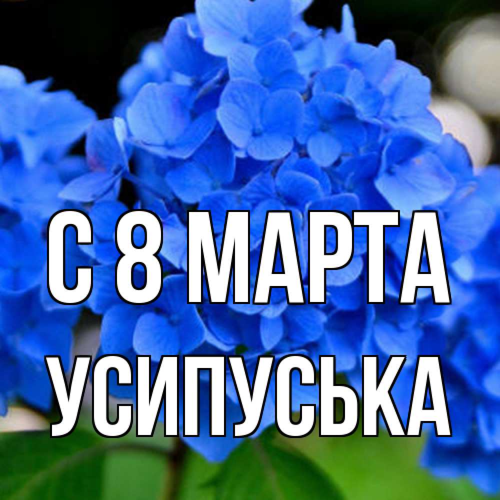 Открытка на каждый день с именем, усипуська C 8 МАРТА синие цветы Прикольная открытка с пожеланием онлайн скачать бесплатно 