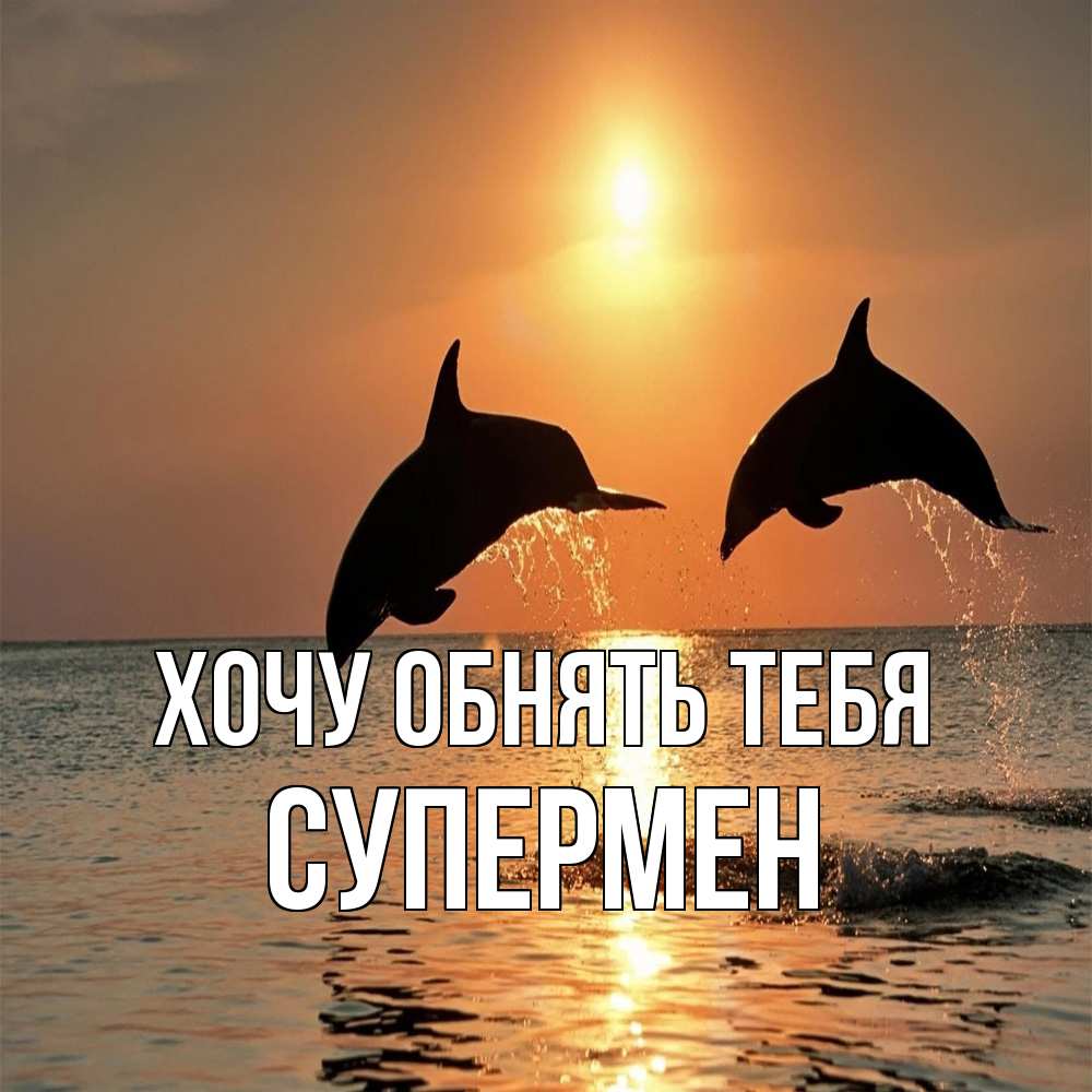 Открытка на каждый день с именем, Супермен Хочу обнять тебя рыбы на закате Прикольная открытка с пожеланием онлайн скачать бесплатно 