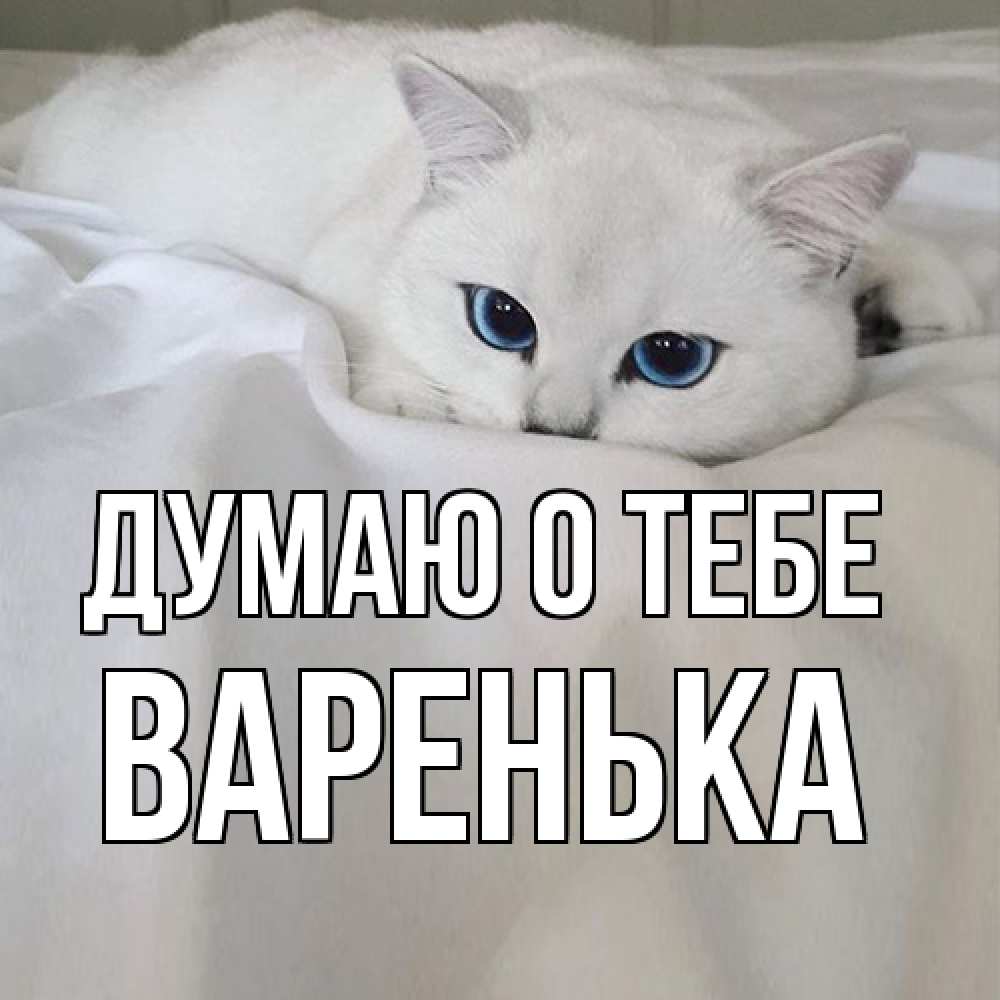 Открытка на каждый день с именем, Варенька Думаю о тебе я очень по тебе скучаю и тоскую Прикольная открытка с пожеланием онлайн скачать бесплатно 