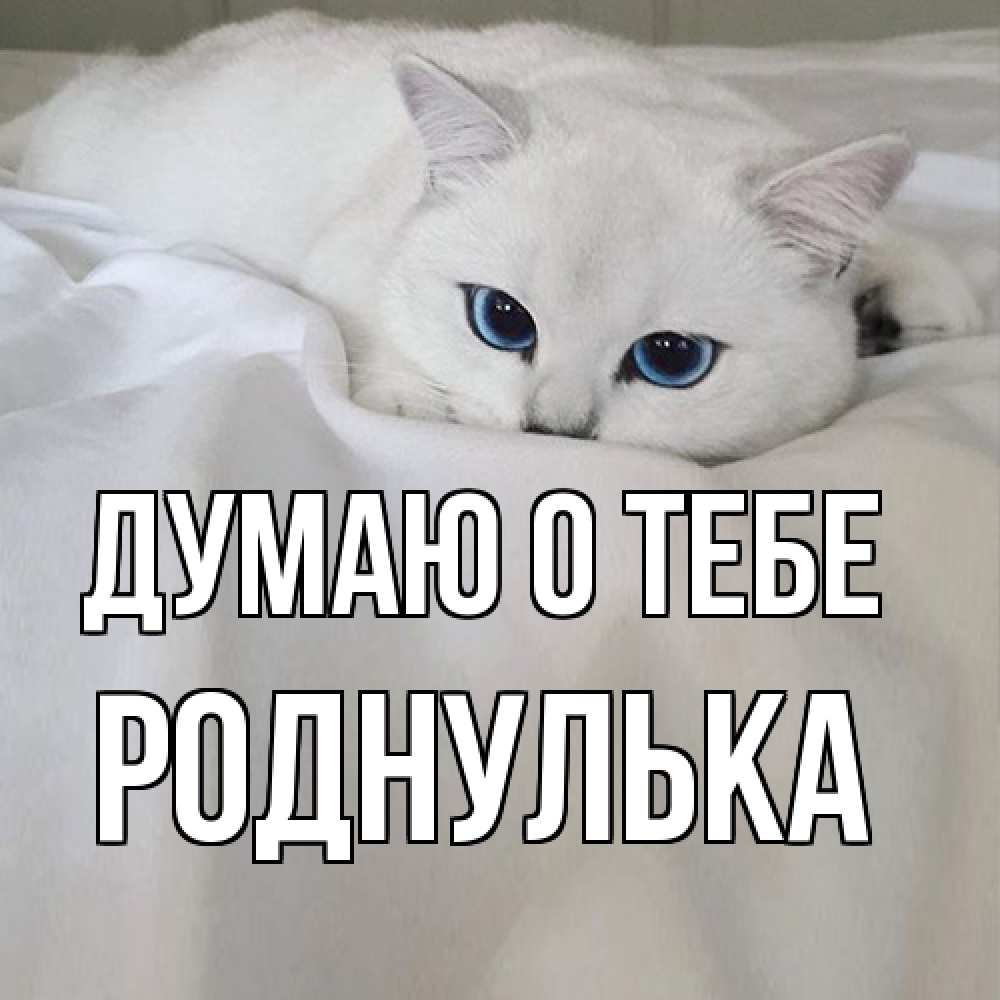 Открытка на каждый день с именем, Роднулька Думаю о тебе я очень по тебе скучаю и тоскую Прикольная открытка с пожеланием онлайн скачать бесплатно 