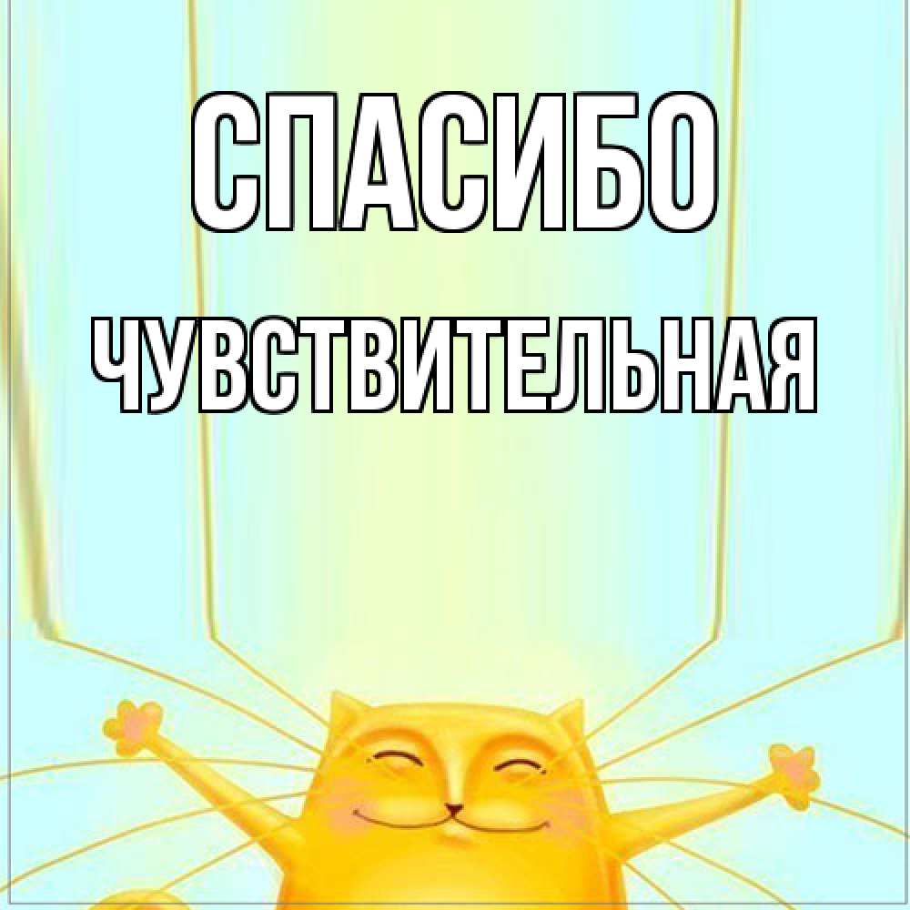 Открытка на каждый день с именем, Чувствительная Спасибо кот с усами благодарит Прикольная открытка с пожеланием онлайн скачать бесплатно 