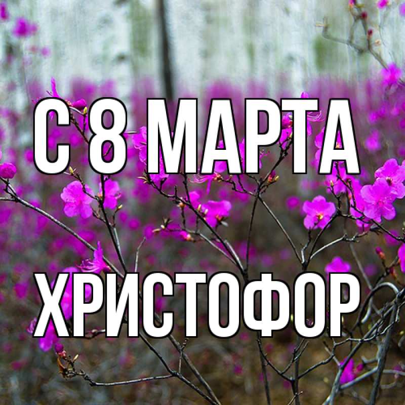 Картинка C 8 МАРТА, Христофор