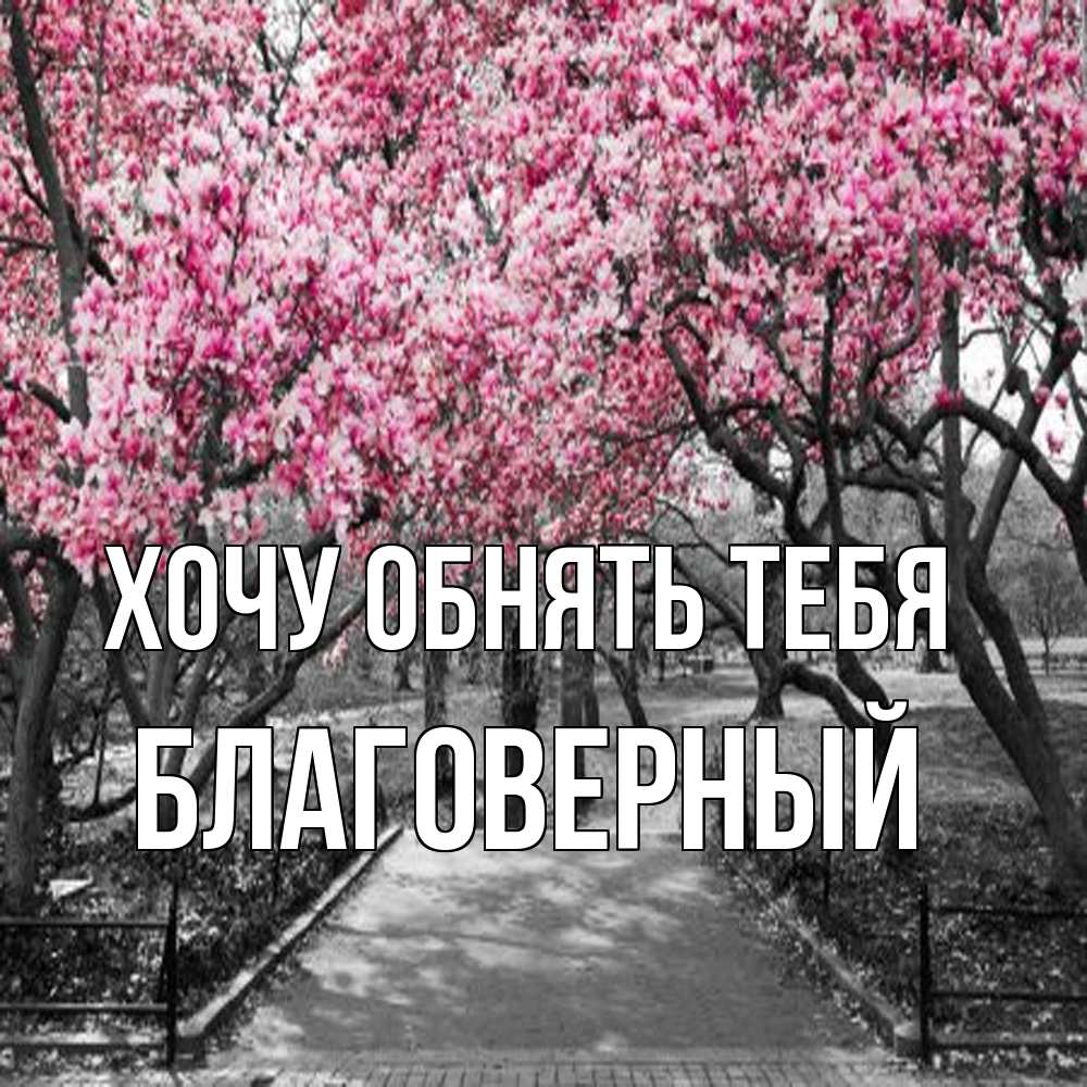 Открытка на каждый день с именем, Благоверный Хочу обнять тебя обработанное фото Прикольная открытка с пожеланием онлайн скачать бесплатно 