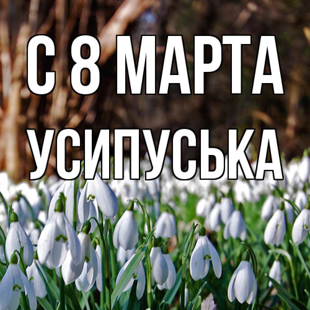 Открытка на каждый день с именем, усипуська C 8 МАРТА с подснежниками 1 Прикольная открытка с пожеланием онлайн скачать бесплатно 