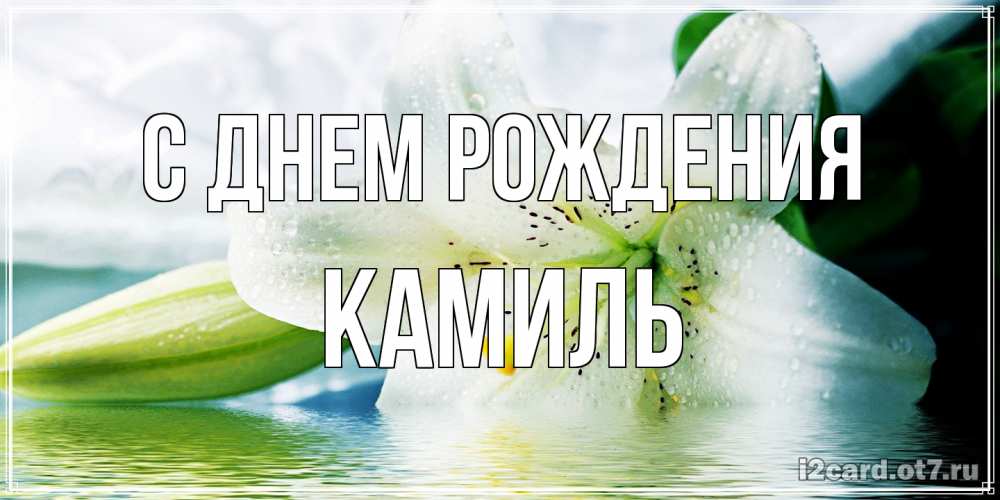 Открытка на каждый день с именем, Камиль С днем рождения лилия на открытке ко дню рождения Прикольная открытка с пожеланием онлайн скачать бесплатно 