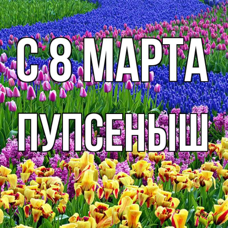 Картинка C 8 МАРТА, пупсеныш